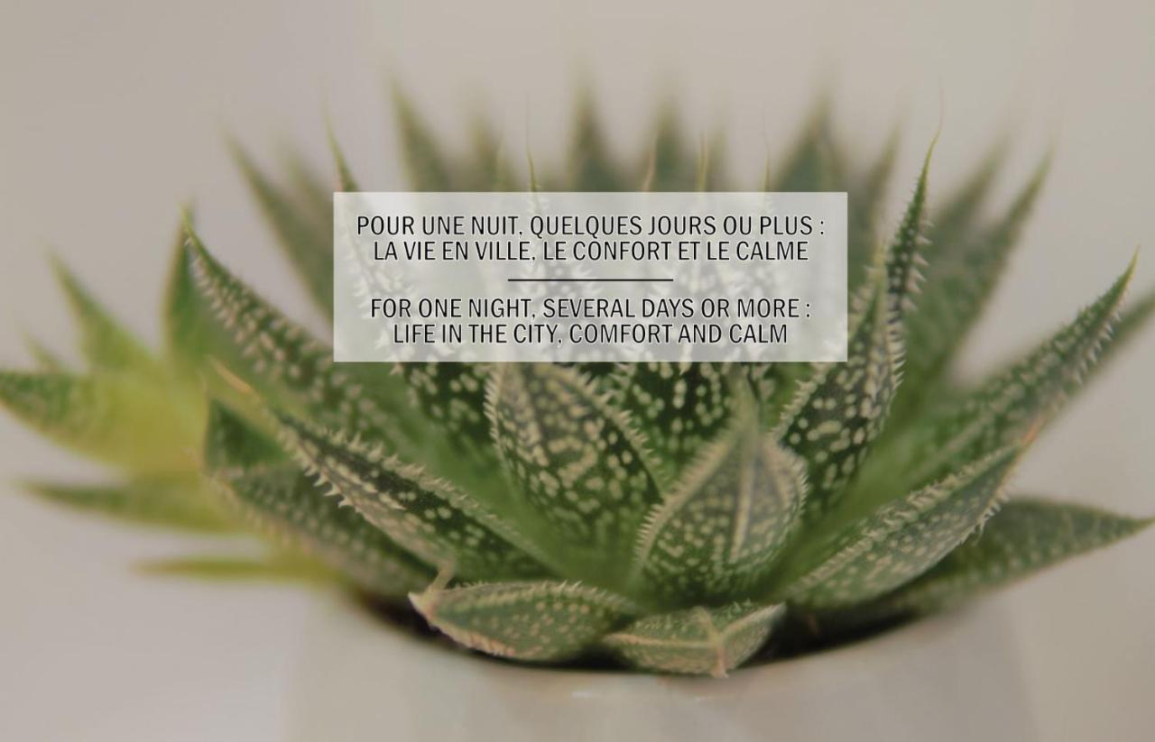 La Maisonnette De La Concorde Au Coeur De מוסאק מראה חיצוני תמונה